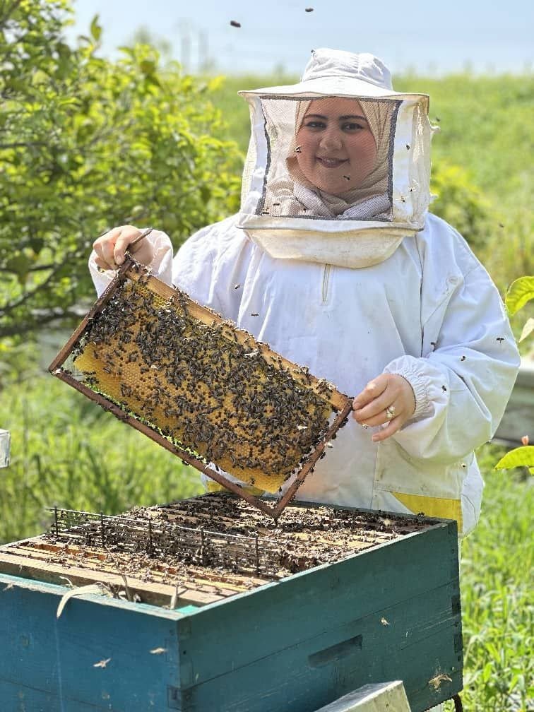Bee Royal Apiary
